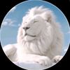 brian254_1