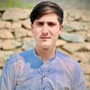 farman804jan