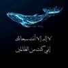 user28715904446060