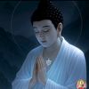 canh.hoa.muoi.gio1