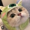 azim_ssm