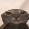 _heloghe