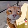 raka_rhamadan