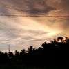 winzs_jaa6817