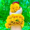 md.jalal.molla65