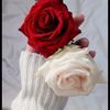user28610910230368http