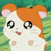 hamutarou05428