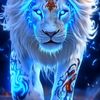 malik.ali.raza27