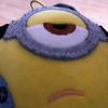 monowik
