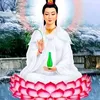 lin.hoa0370