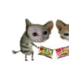 .mutiww_bubble