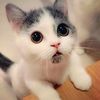 www.kiti.com6