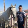 hmoshemadi