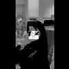 _gfsx