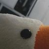 ratchanonnew6