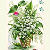 user1290418708802