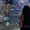 danalie07