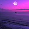lunaxa09