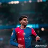dlshad.20