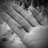 amish_5555