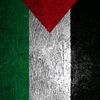 eslammohammed9536