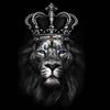 maher.jaber13