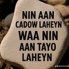.wiil.somaliyeed