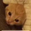 daniteyyu3r