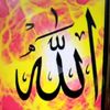 user048153804