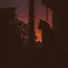 cspybaraaaa