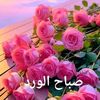 ورد الصباح