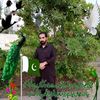 asgharkhan0247