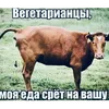 irbiziki