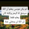 user991694102
