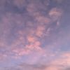 stari_silky_lioden