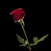 user2982519883947