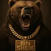 bnshe1k_
