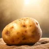 mini_potatinho