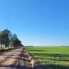 cesarlescano778