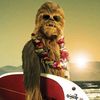 chewbacca9066