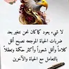 user8386106855186