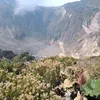 alonsodurangon
