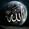 user7462113138406