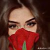 shaimaahmed029