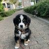 ilikebagles1