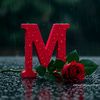 moussa.hamasi