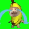 sthy.th6
