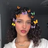 anglina__ch07