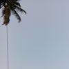 faaarfaaa1