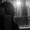 t_leveni